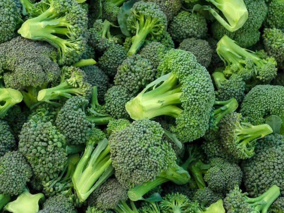 Broccoli