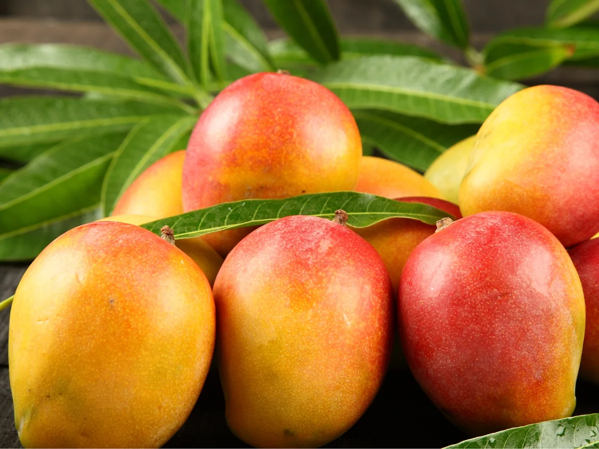 Mangoes