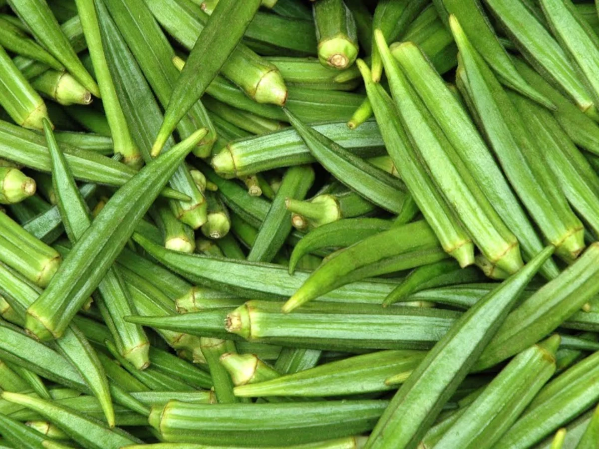 Okra